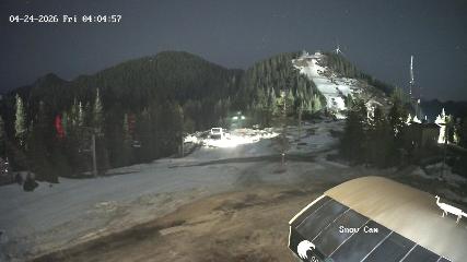 Grouse Mountain: Snow Cam (grousemountain.com)