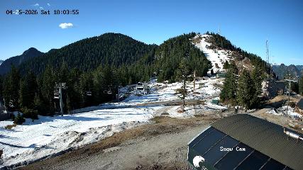 Grouse Mountain: Snow Cam (grousemountain.com)