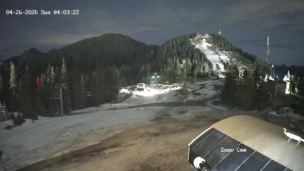 Grouse Mountain webcam