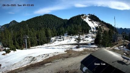 Grouse Mountain: Snow Cam (grousemountain.com)