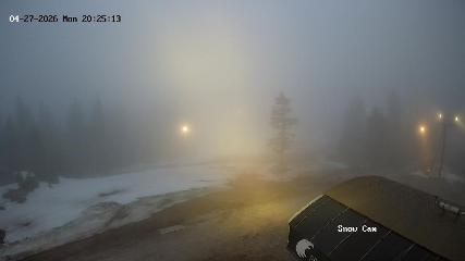 Grouse Mountain: Snow Cam (grousemountain.com)