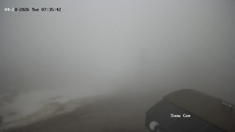 Webcam Grouse Mountain: Snow Cam
