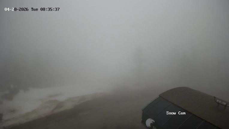 Webcam Grouse Mountain: Snow Cam