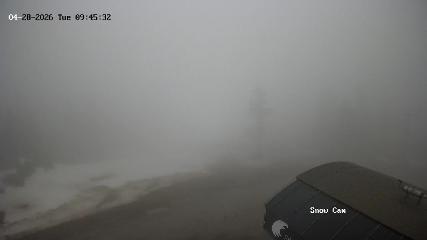 Grouse Mountain: Snow Cam (grousemountain.com)