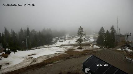 Grouse Mountain: Snow Cam (grousemountain.com)