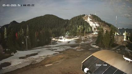 Grouse Mountain: Snow Cam (grousemountain.com)