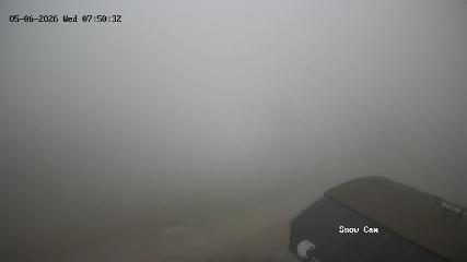 Grouse Mountain: Snow Cam (grousemountain.com)