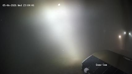 Grouse Mountain: Snow Cam (grousemountain.com)