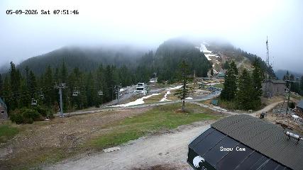 Grouse Mountain: Snow Cam (grousemountain.com)