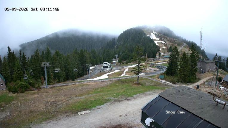 Webcam Grouse Mountain: Snow Cam