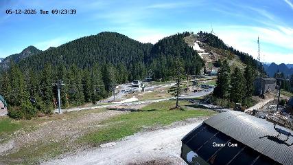 Grouse Mountain: Snow Cam (grousemountain.com)