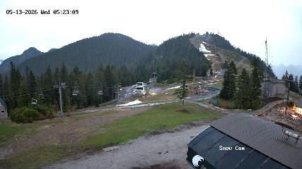 Grouse Mountain webcam