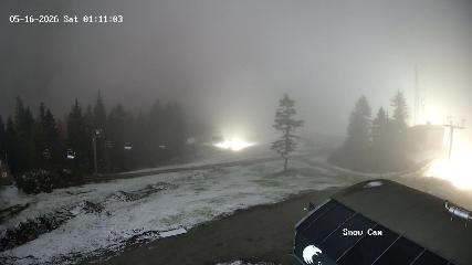 Grouse Mountain webcam
