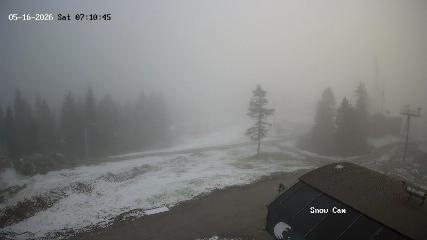 Grouse Mountain webcam