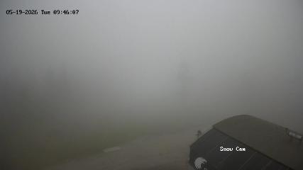 Grouse Mountain: Snow Cam (grousemountain.com)