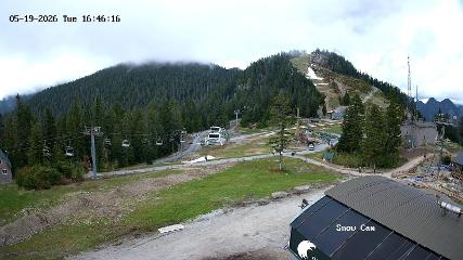 Grouse Mountain: Snow Cam (grousemountain.com)