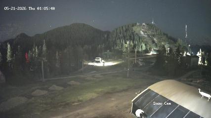Grouse Mountain: Snow Cam (grousemountain.com)