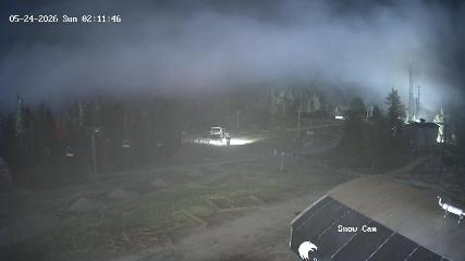Grouse Mountain: Snow Cam (grousemountain.com)