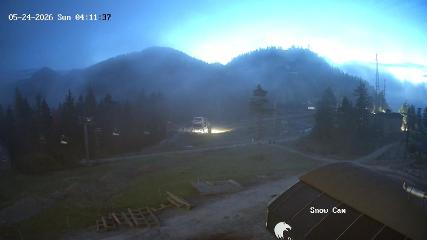 Grouse Mountain: Snow Cam (grousemountain.com)