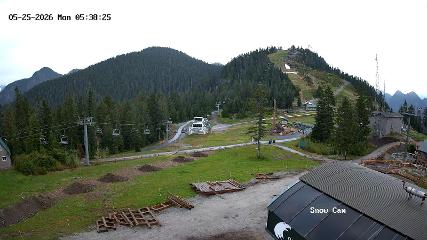 Grouse Mountain: Snow Cam (grousemountain.com)