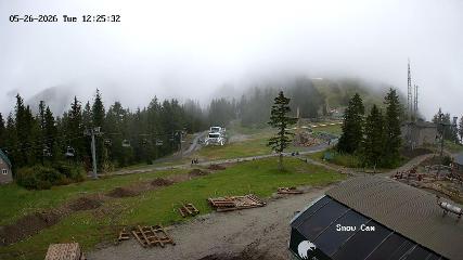 Grouse Mountain: Snow Cam (grousemountain.com)