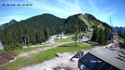 Grouse Mountain: Snow Cam (grousemountain.com)