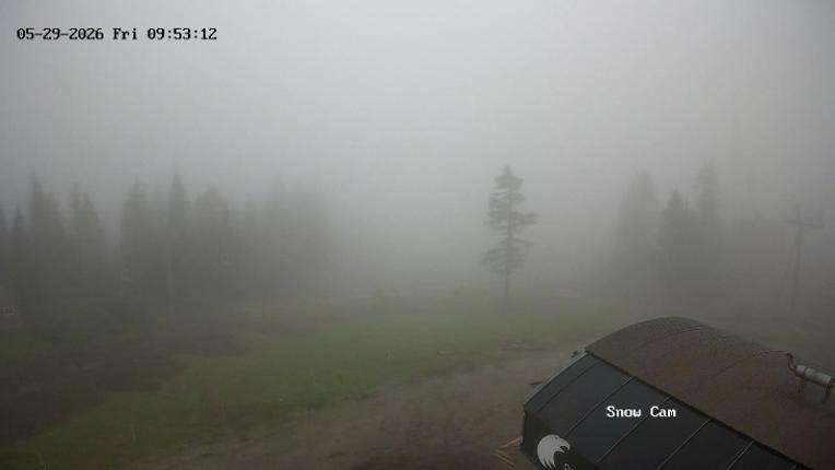 Webcam Grouse Mountain: Snow Cam