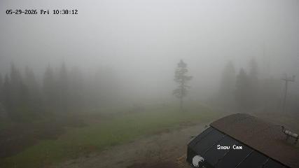 Grouse Mountain: Snow Cam (grousemountain.com)