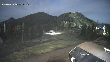 Grouse Mountain: Snow Cam (grousemountain.com)