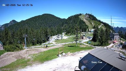 Grouse Mountain webcam