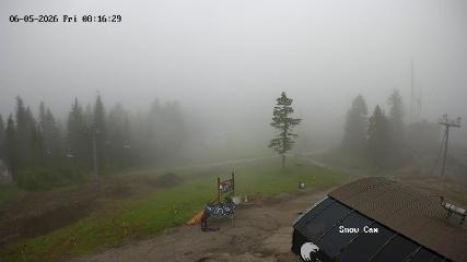 Grouse Mountain: Snow Cam (grousemountain.com)