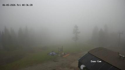 Grouse Mountain webcam