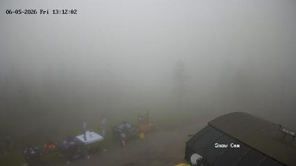 Grouse Mountain: Snow Cam (grousemountain.com)
