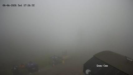 Grouse Mountain: Snow Cam (grousemountain.com)