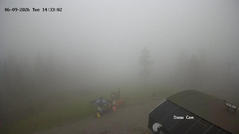 Webcam Grouse Mountain: Snow Cam