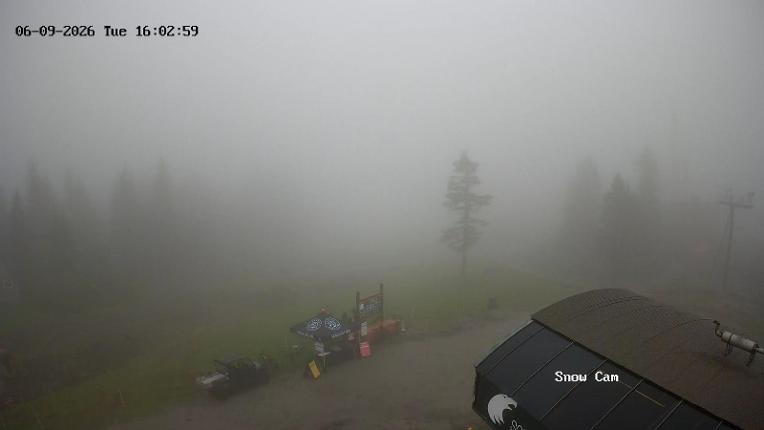 Webcam Grouse Mountain: Snow Cam