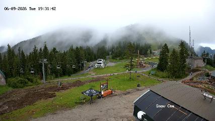 Grouse Mountain: Snow Cam (grousemountain.com)