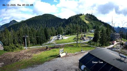Grouse Mountain: Snow Cam (grousemountain.com)