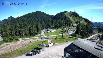 Grouse Mountain: Snow Cam (grousemountain.com)