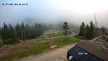 Grouse Mountain: Snow Cam (grousemountain.com)