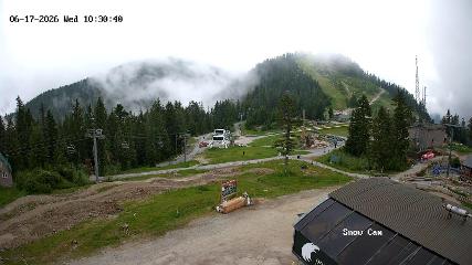 Grouse Mountain: Snow Cam (grousemountain.com)