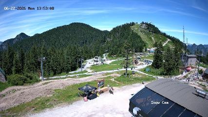 Grouse Mountain webcam