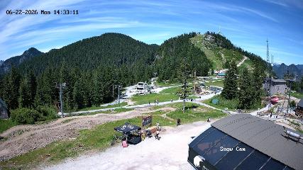 Grouse Mountain: Snow Cam (grousemountain.com)