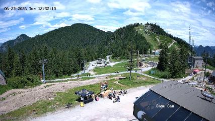 Grouse Mountain: Snow Cam (grousemountain.com)