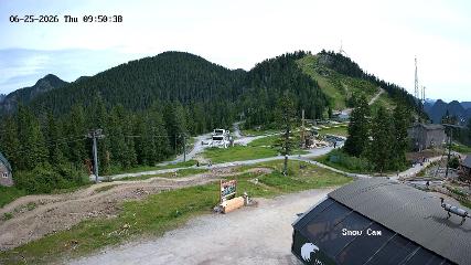 Grouse Mountain webcam