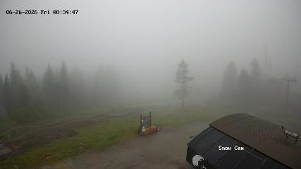 Grouse Mountain: Snow Cam (grousemountain.com)