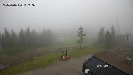 Grouse Mountain: Snow Cam (grousemountain.com)