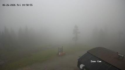 Grouse Mountain: Snow Cam (grousemountain.com)