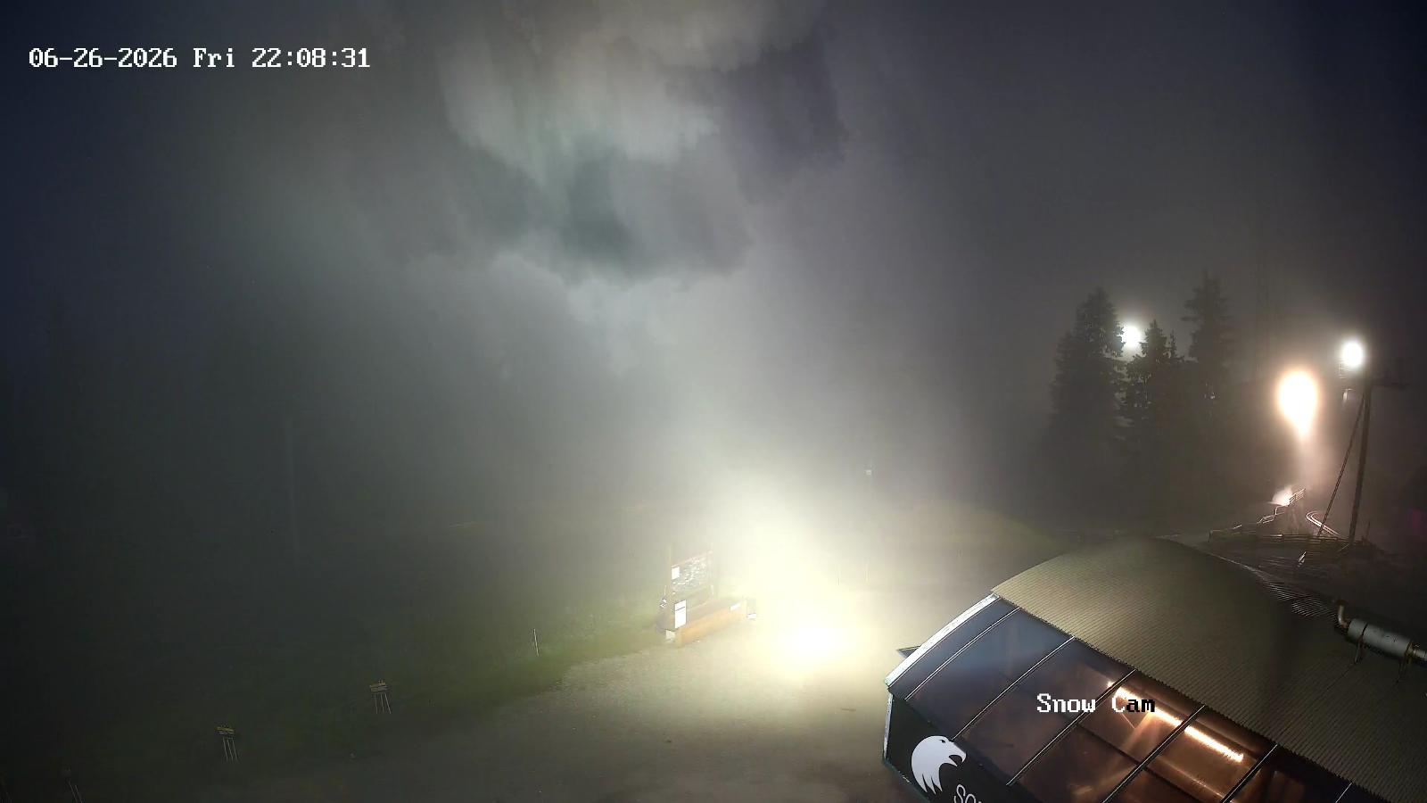 Webcam Grouse Mountain: Snow Cam