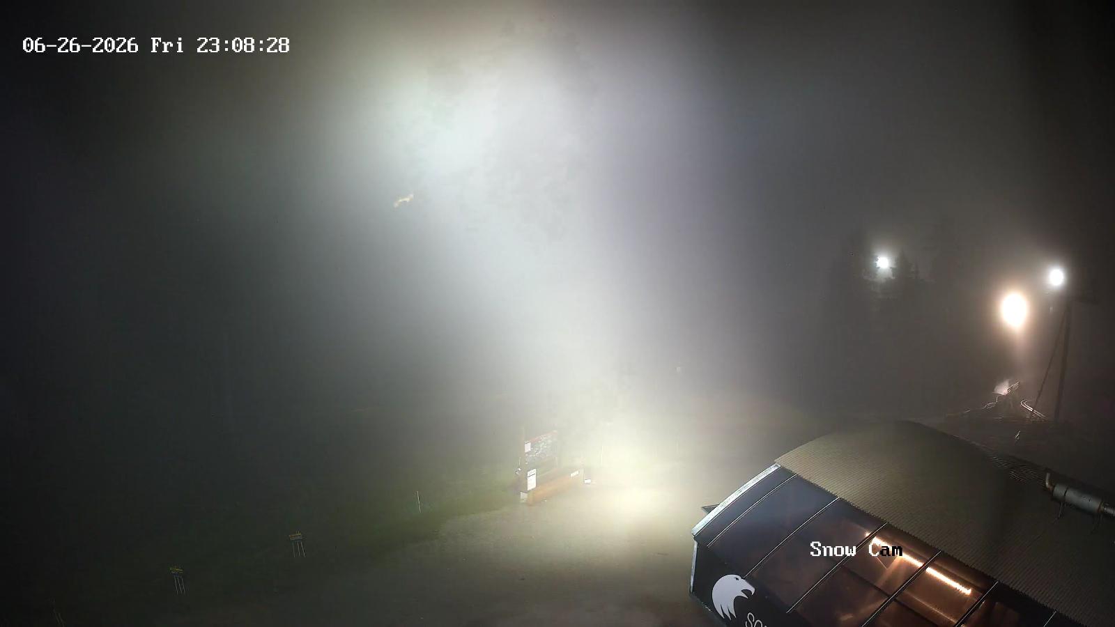 Webcam Grouse Mountain: Snow Cam